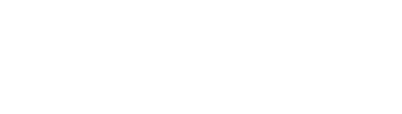 PING logo